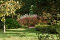 0058Arboretum Vallee aux loups